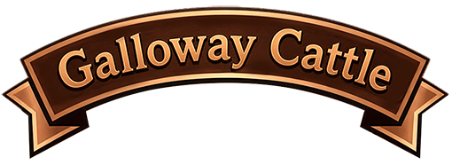 Galloway Banner